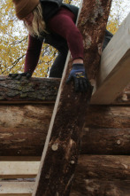 Sobrevivir en lo...: Escalera al cielo