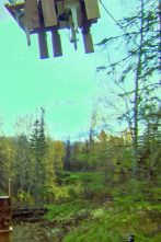 Imagen de Sobrevivir en lo... (T2): Los de Alaska se unen - 1
