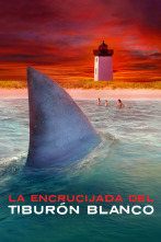 La encrucijada del tiburón blanco