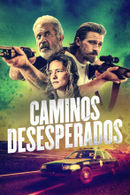 Imagen de Caminos desesperados - 1
