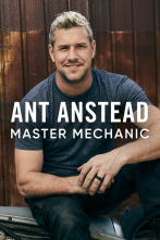 Imagen de Ant Anstead Master Mechanic  - 1