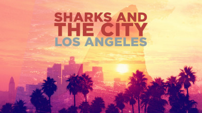 Imagen de Tiburones en Los Ángeles - 2