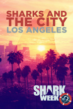 Imagen de Tiburones en Los Ángeles - 1