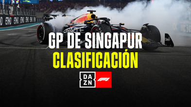 GP de Singapur (Marina...: GP de Singapur: El Post de la Clasificación