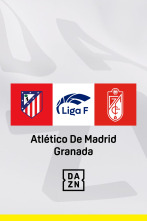 Jornada 1: Atlético de Madrid - Granada