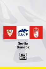 Jornada 23: Sevilla - Granada