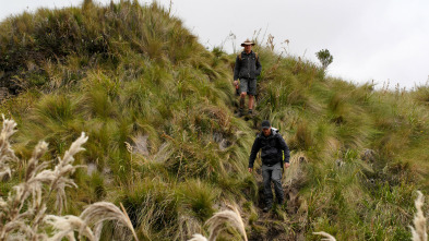 Imagen de Legends Of The Wild: Ep.6 - 2