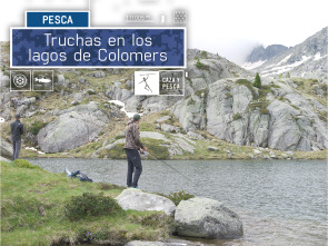 Imagen de Truchas en los lagos de Colomers - 2