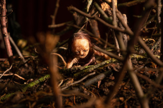 Imagen de Stopmotion - 4