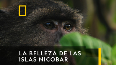 La belleza de Las Islas Nicobar 