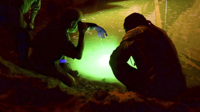 Imagen de Mystery at Blind... (T1): Tesoro sumergido - 2