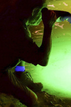 Imagen de Mystery at Blind... (T1): Tesoro sumergido - 1