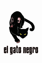 Imagen de El gato negro - 1