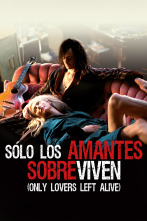 Imagen de Sólo los amantes sobreviven (Only Lovers Left Alive) - 1