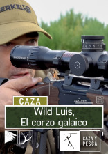 Imagen de Wild Luis:  El Corzo Galaico - 1