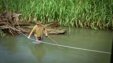 Imagen de El oro de los cocodrilos (T1): Ep.6 - 2