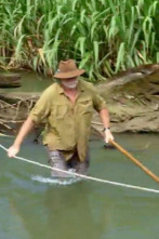 Imagen de El oro de los cocodrilos (T1): Ep.6 - 1