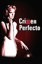 Crimen perfecto