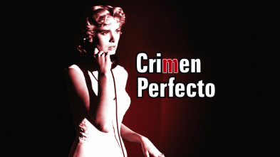 Crimen perfecto