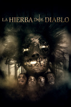 Imagen de La hierba del diablo - 1