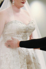 Imagen de El vestido de tu boda,...: Eleganza Dahling - 1