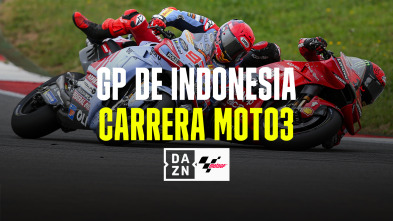 GP Indonesia (2024): Carrera Moto3