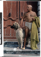 Imagen de Picasso  - 4