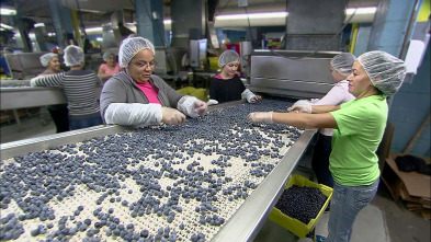 Así se hace (T21): Moldes para pasta