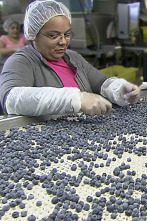 Imagen de Así se hace: Moldes para pasta - 1
