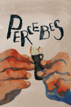 Imagen de Percebes - 1