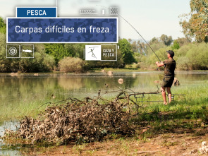 Imagen de Carpas difíciles en freza - 2