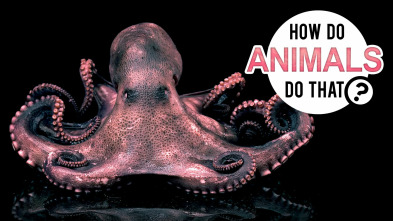 Imagen de ¿Cómo lo hacen? Mundo animal  - 2
