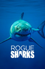 Imagen de Tiburones asesinos - 1