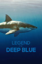 Imagen de La leyenda de Deep Blue - 1