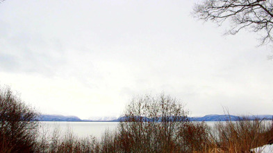 Imagen de Minicasas sobre... (T5): Una yurta diminuta en Alaska - 2