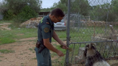 Imagen de Seprona en acción: Ep.8 - 2