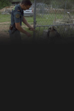 Imagen de Seprona en acción: Ep.8 - 1