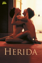 Imagen de Herida - 1