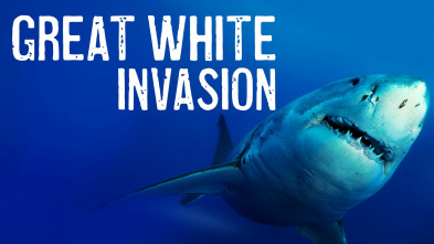 Imagen de Los secretos del tiburón blanco - 2