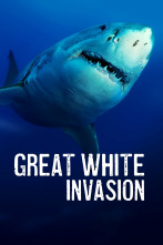Imagen de Los secretos del tiburón blanco - 1