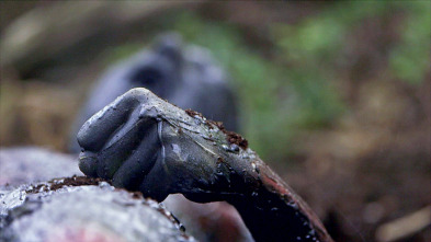 Imagen de Los casos de... (T6): Cuerpo carbonizado - 2