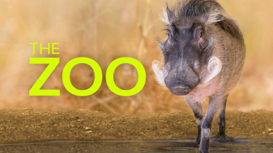 Imagen de El zoo del Bronx (T3) - 2