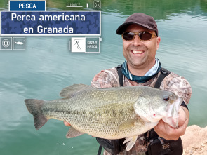 Perca americana en Granada