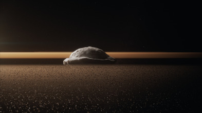 Imagen de El sistema solar: Mundos extraños - 4