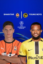 Jornada 4: Shakhtar - Young Boys