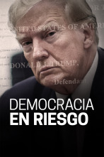 Imagen de Democracia en riesgo  - 1