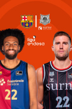 Jornada 17: Barça - Surne Bilbao Basket