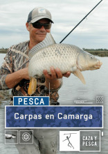Imagen de Carpas en  Camarga - 1