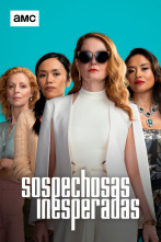 Sospechosas inesperadas (T1)