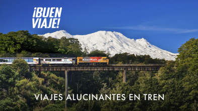 Viajes alucinantes en tren 